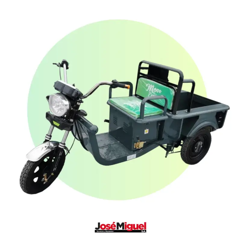 Electric Tricycle Cargo 250